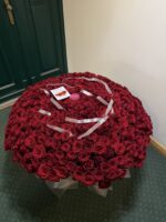 351 róża w koszyku | Luksusowe róże Poznań