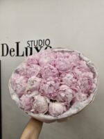 Piwonii premium  Pillou Tallk 25 szt